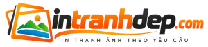 BTV In Tranh Đẹp